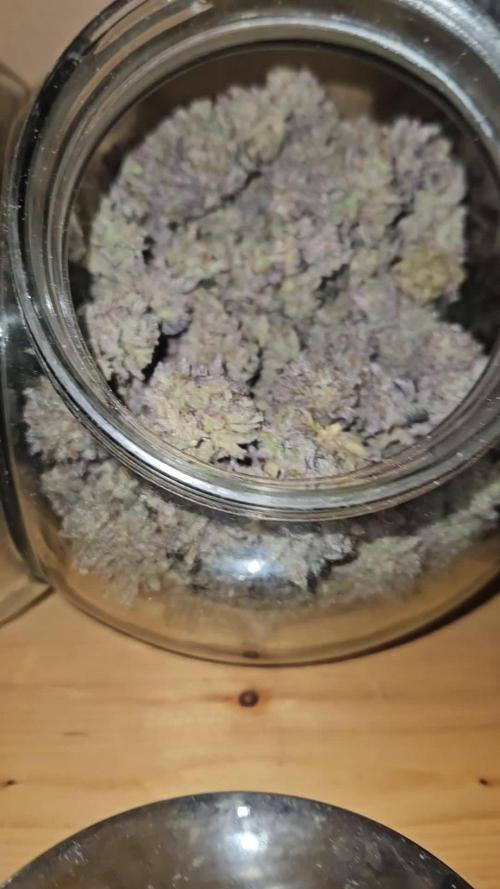 Honeycomp Pave - Compound - Winter Grow