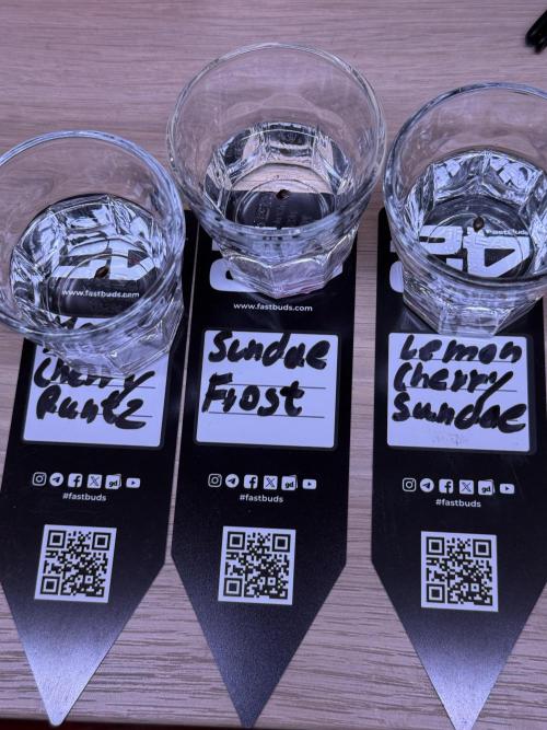 Fastbuds newest champions-line strains. Week 0 - All 3 seed in a glas