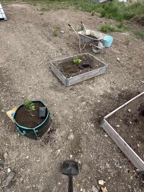 Outdoor 2026. Week 1