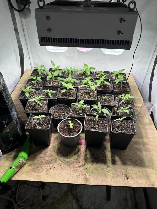 Outdoor 2026. Week 1