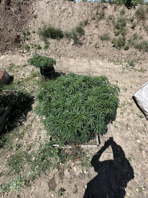 Outdoor 2026. Week 8