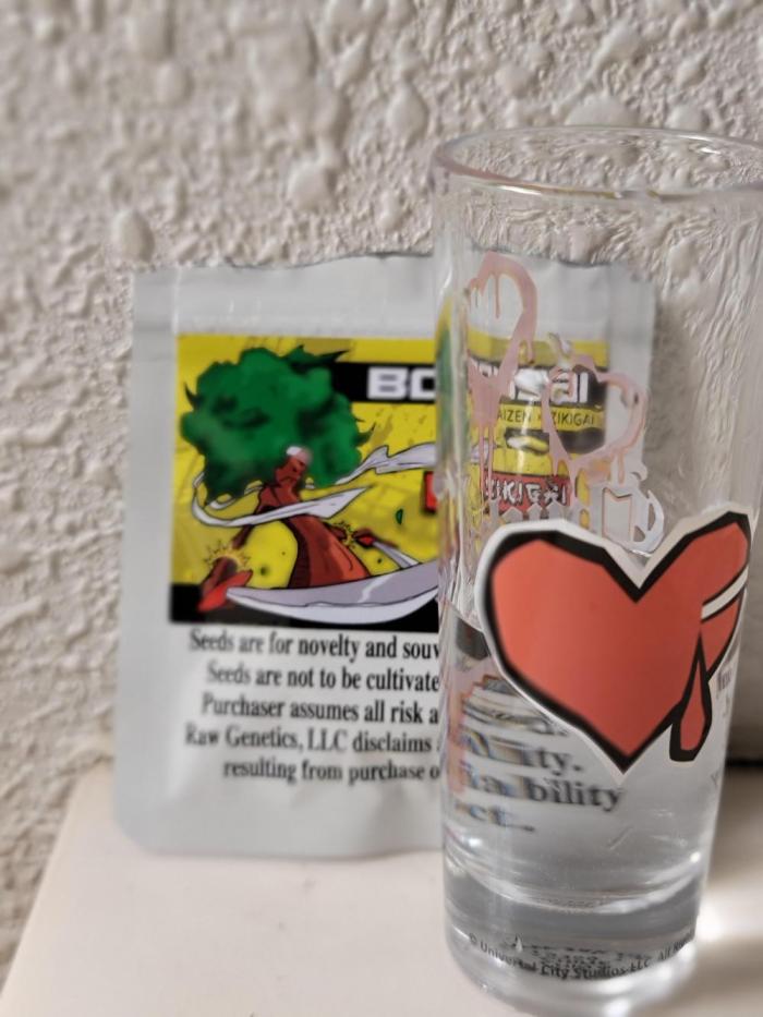 Bonzai Time!. Week 0