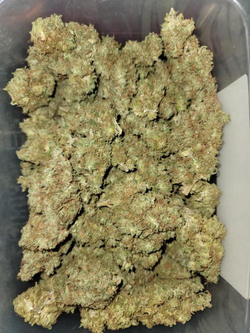 Stickky Brokkoli. Week 12