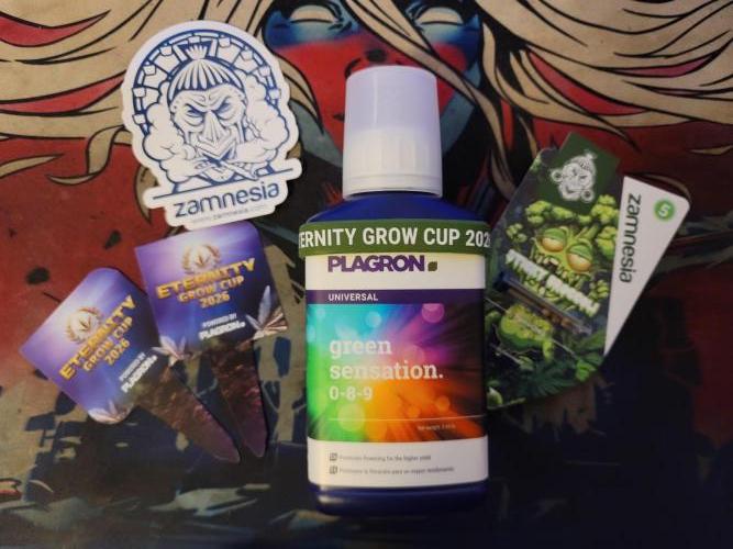 Stickky Brokkoli. Week 0