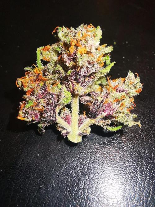 Gewinnspielseeds - Grow. Week 11