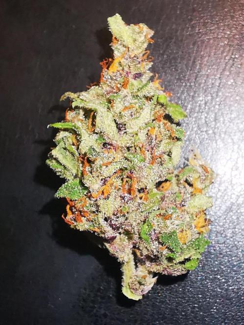 Gewinnspielseeds - Grow. Week 11