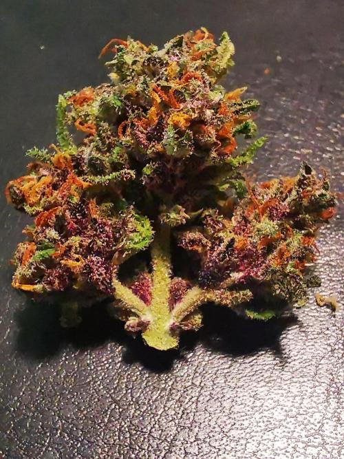 Gewinnspielseeds - Grow. Week 11