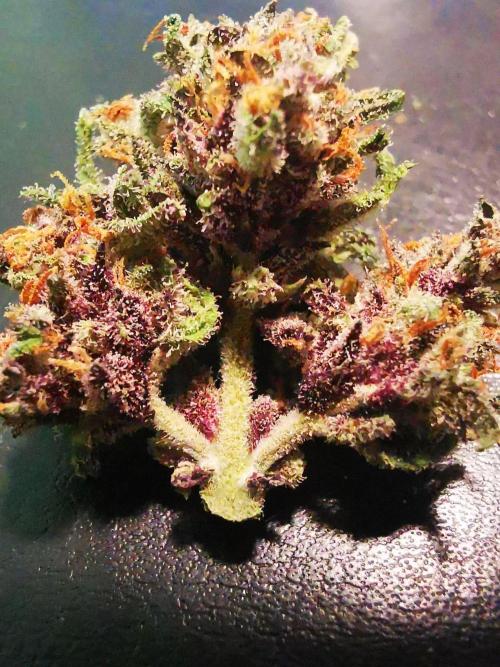 Gewinnspielseeds - Grow. Week 11