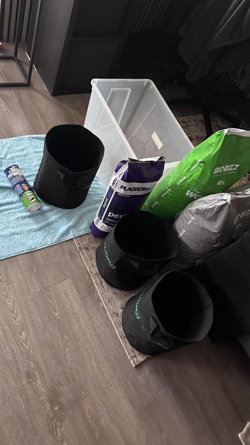 1st Grow [NOS / Midnight Marathon F4]. Week 0