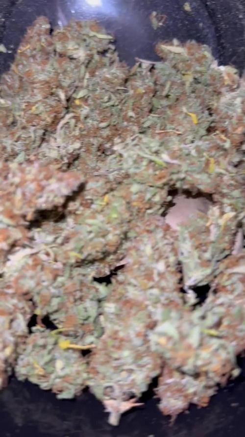 Gorilla Z FB420 X Green Gelato Auto RQS