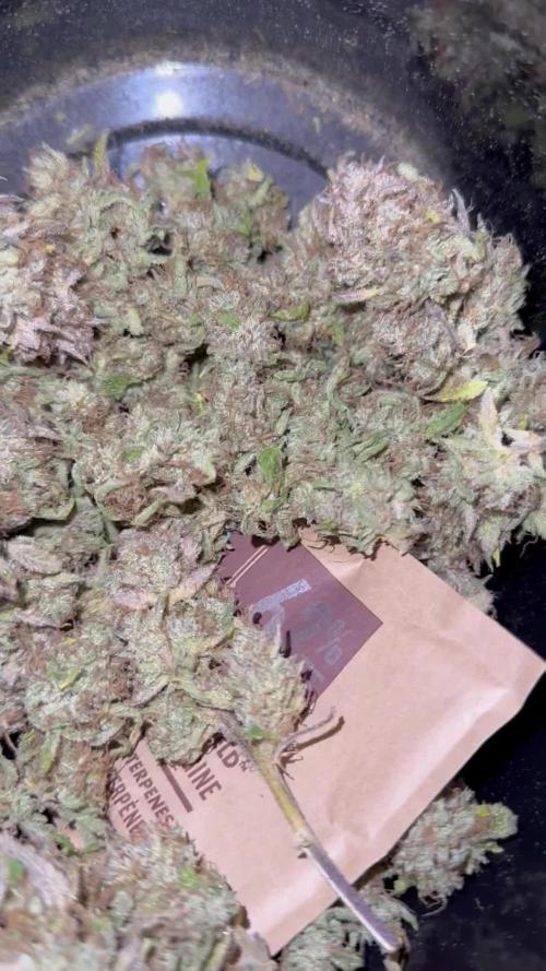 Gorilla Z FB420 X Green Gelato Auto RQS