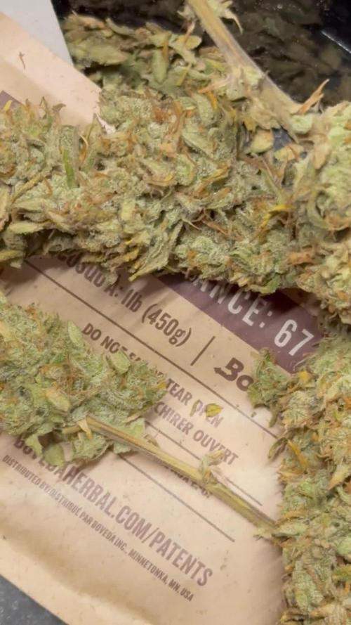 Gorilla Cookies 420FB