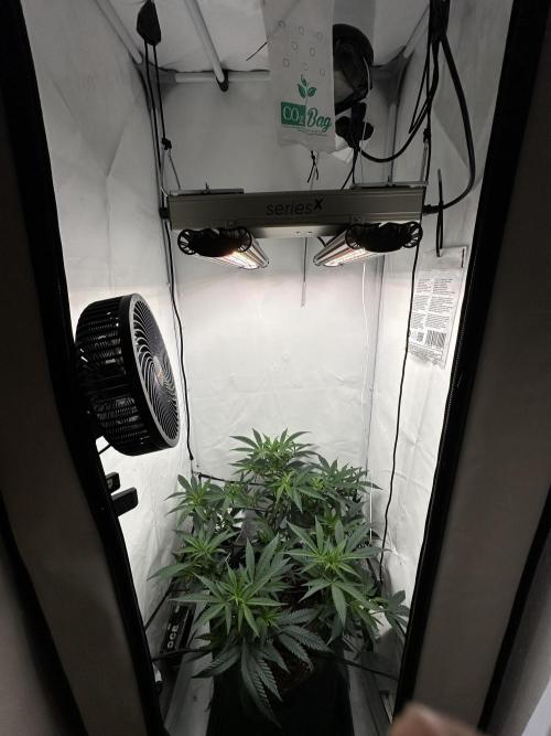 Power Plant. Week 7