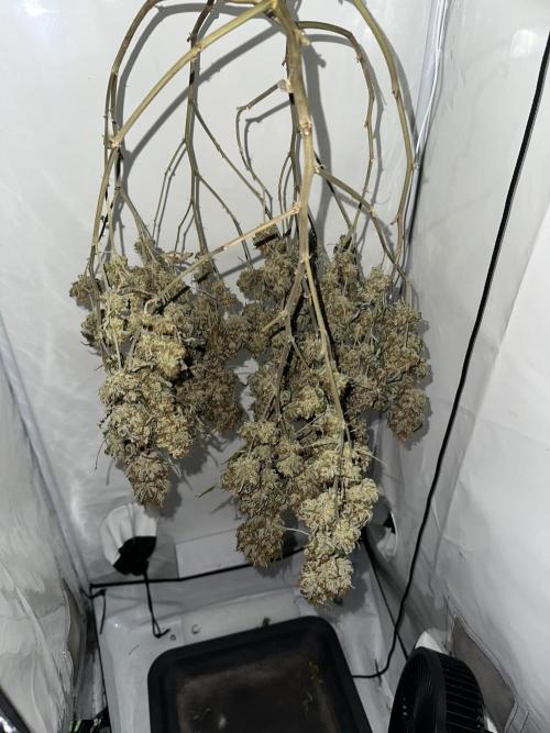 Power Plant. Week 17