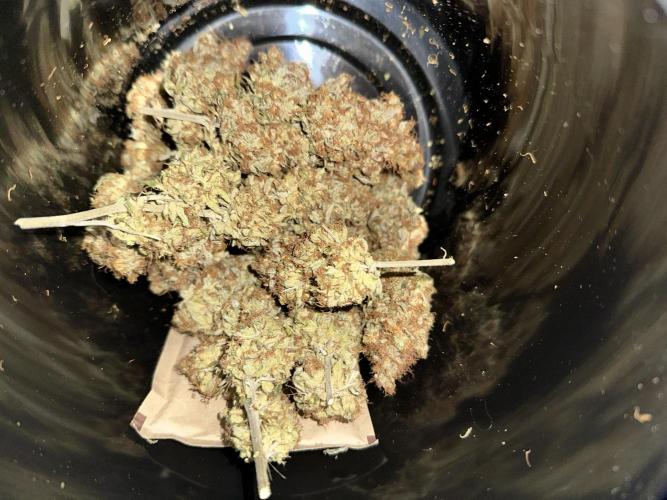 PowerPlant photo X Greenception GCx4-PWR. Week 17