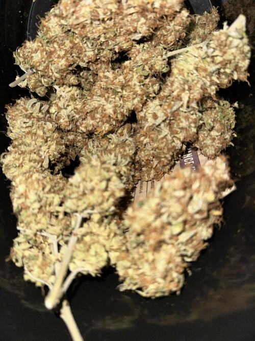 PowerPlant photo X Greenception GCx4-PWR. Week 17