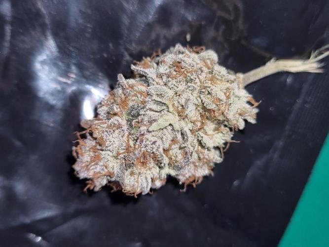 Tangerine Dream 🍊. Week 15 - Nice look 