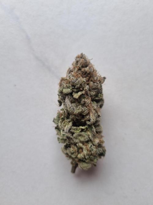 Tangerine Dream 🍊. Week 15 - Dry bud