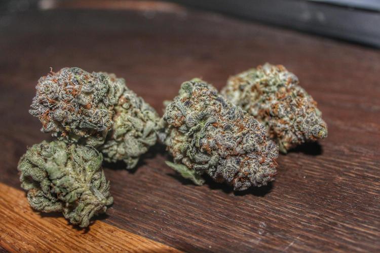 Tangerine Dream 🍊. Week 15 - Back with camera after Curing 