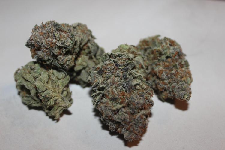 Tangerine Dream 🍊. Week 15 - After Curing 