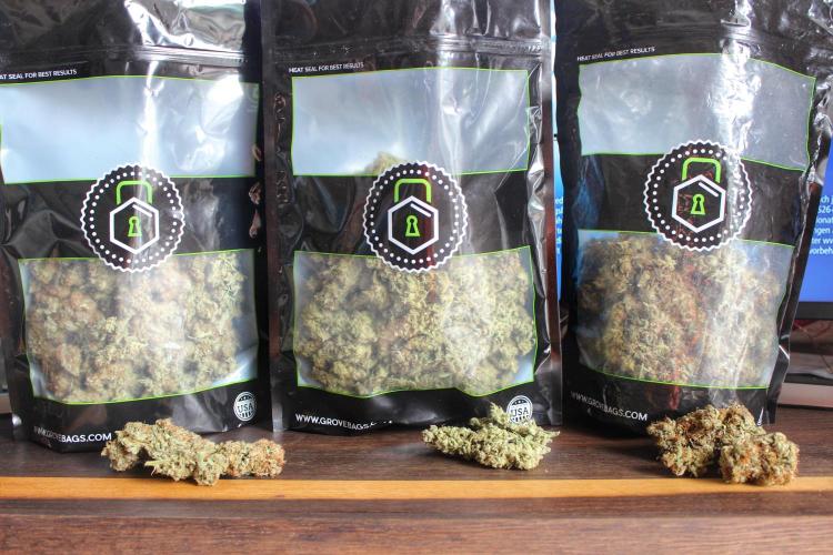 Eternity Grow Cup Cannaseur. Week 16 - All together