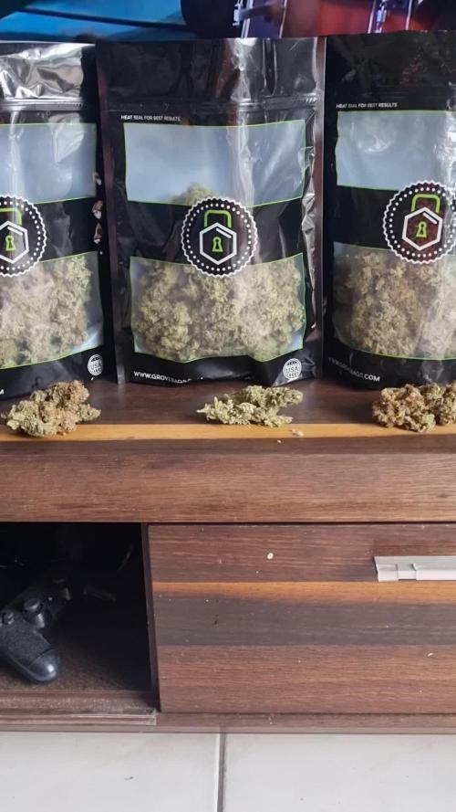 Eternity Grow Cup Cannaseur