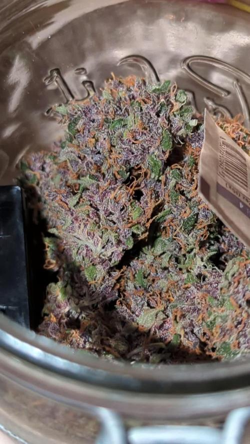 Runtz Automatic First Run