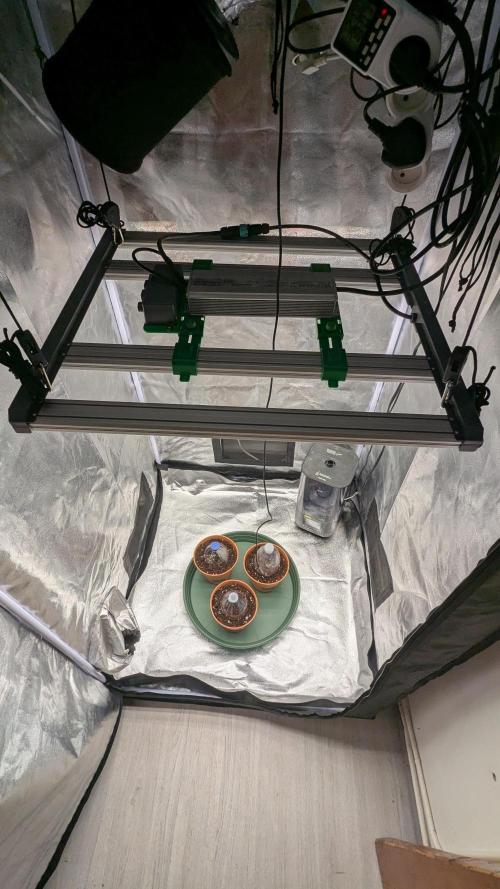 Night Owl Winter Run. Week 0