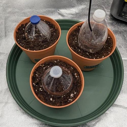 Night Owl Winter Run. Week 0