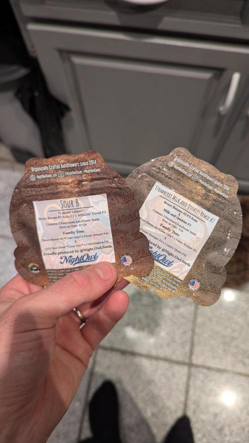 Night Owl Winter Run. Week 0