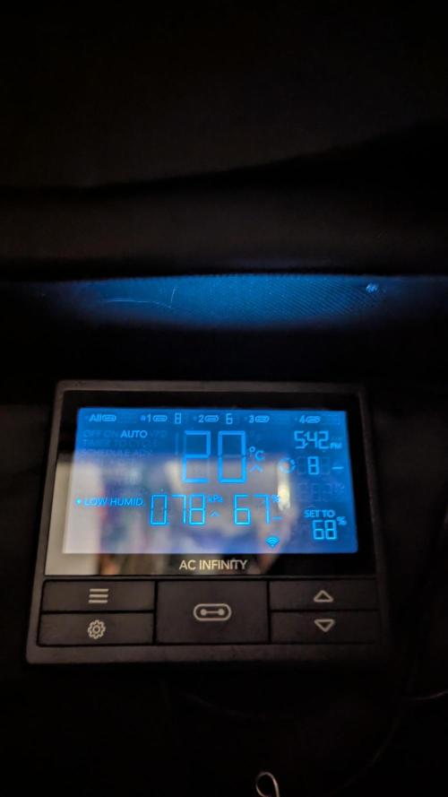 Night Owl Winter Run. Week 1