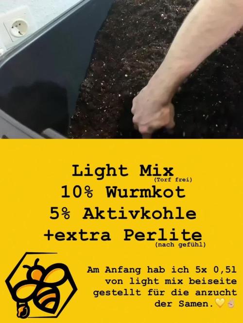 3.Grow: 4xAuto’s von Fastbuds