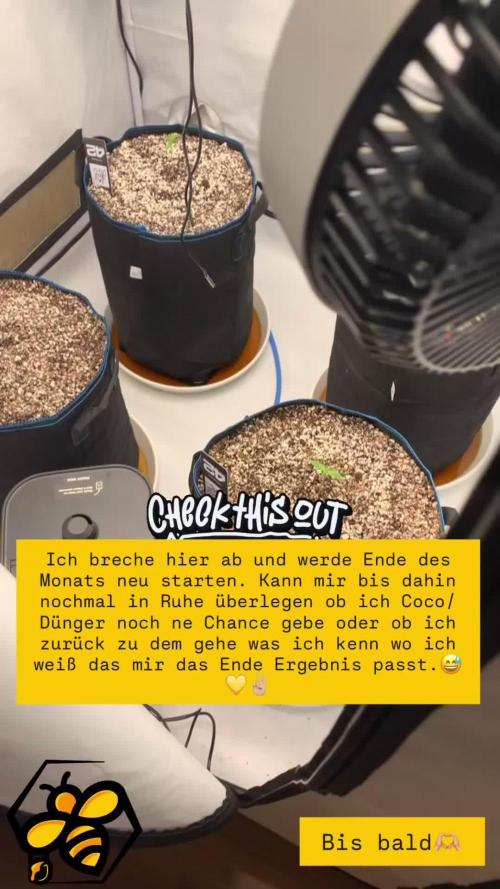 4.Grow-New Setup testrun