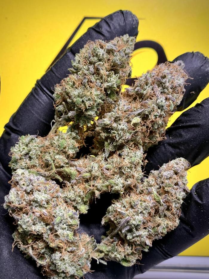 5.Grow: NewSetup Testrun 4 Fastbuds Aut.. Week 13