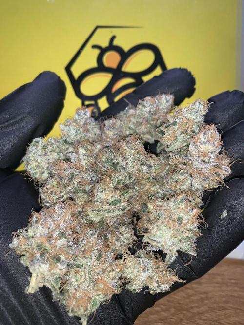 7.Grow: Kmintz & Radical Juice. Week 22 - RJ#2