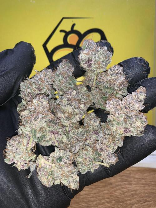 7.Grow: Kmintz & Radical Juice. Week 22 - RJ#1