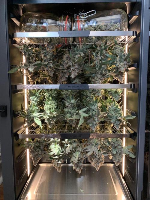 Z42. Week 18
