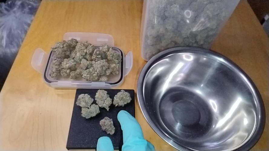 Orange Bud 2.0 - Dutch Passion