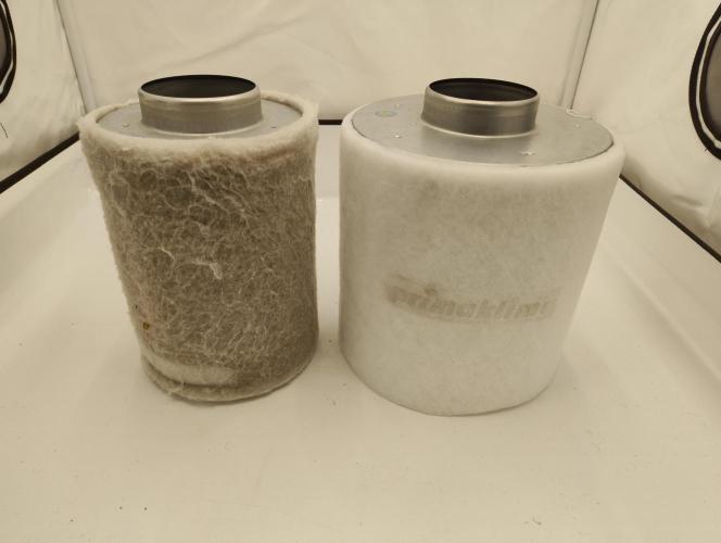 Skunk #11 - Dutch Passion. Week 9 - Goodbye old friend, you have served us well! ❤️