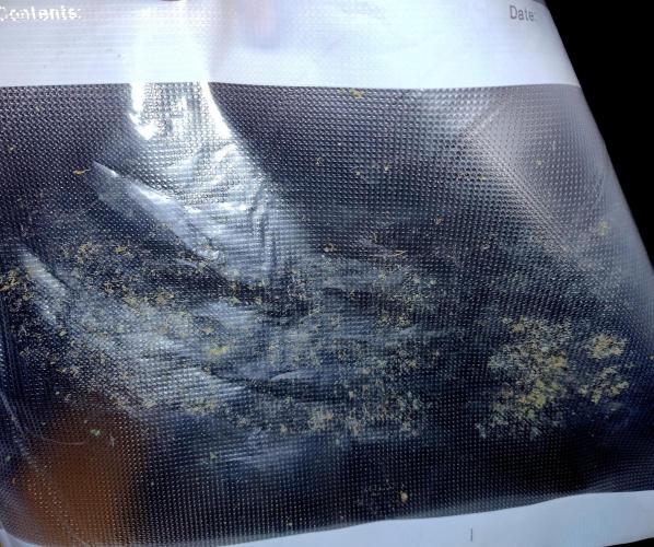 Lemon Z - Dutch Passion. Week 12 - Baggins the resin thief!