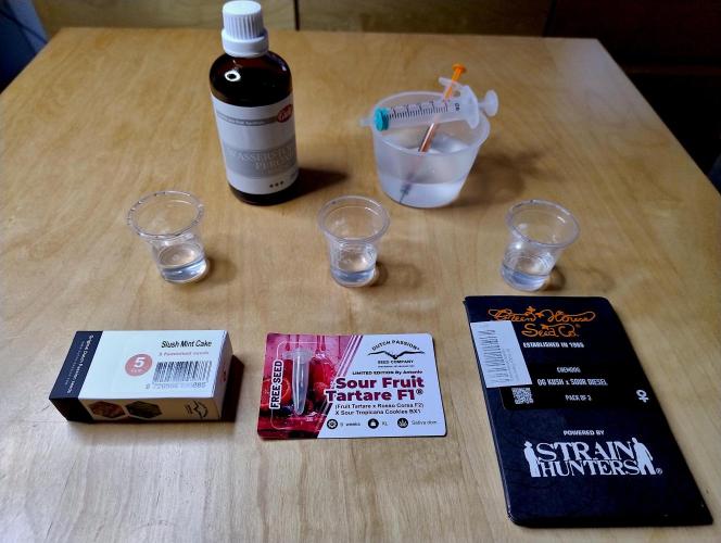 Slush Mint Cake - Dutch Passion. Week 0 - Seeds for this run.