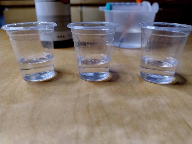 Chemdog - Greenhouse Seed Co.. Week 0 - "We all float down here" - at least for a few hours ;)