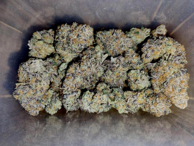 Slush Mint Cake - Dutch Passion. Week 15 - Dry and curing buds after 21 days. These are from the lower half of the plant!