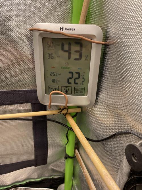 CBD 5-12-25. Week 1 - The environment 