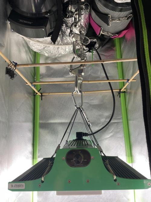 FB X BIOBIZZ. Week 3
