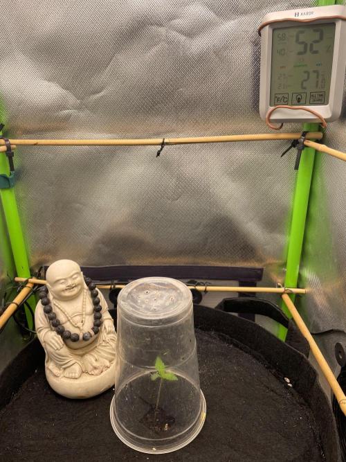 FBuds x Biobizz 2.0. Week 0