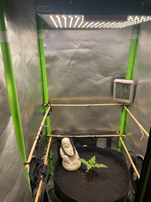 FBuds x Biobizz 2.0. Week 1