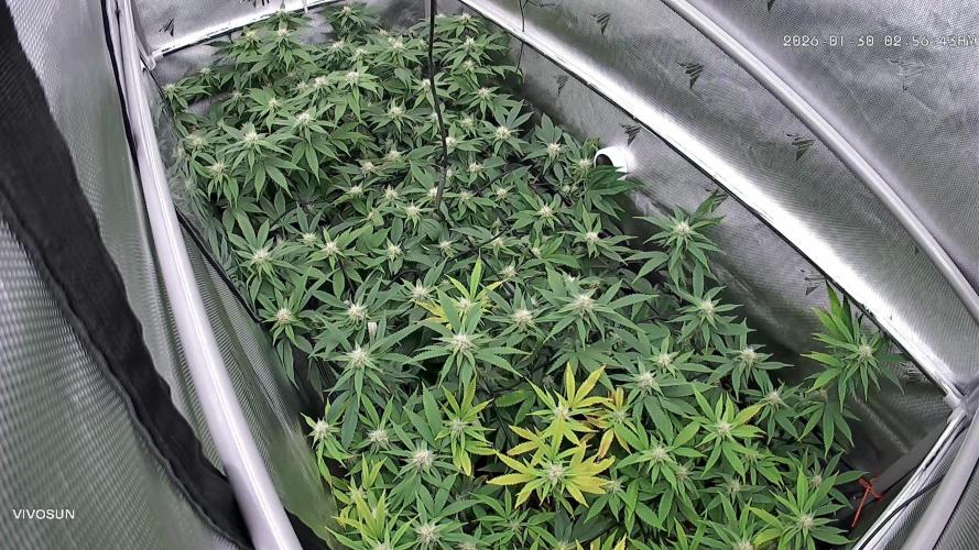 Next Adventure. Week 11