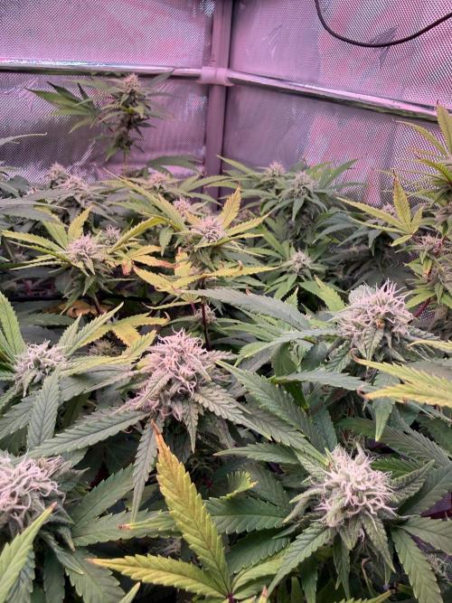 Next Adventure. Week 13