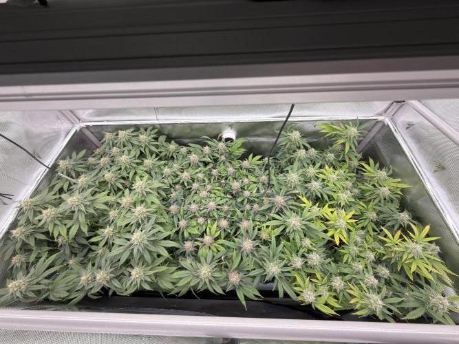 Next Adventure. Week 14